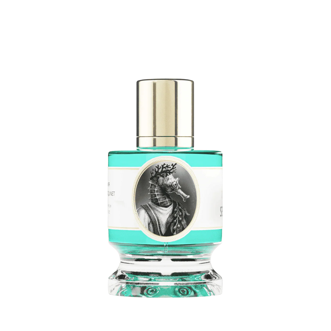 Zoologist Seahorse